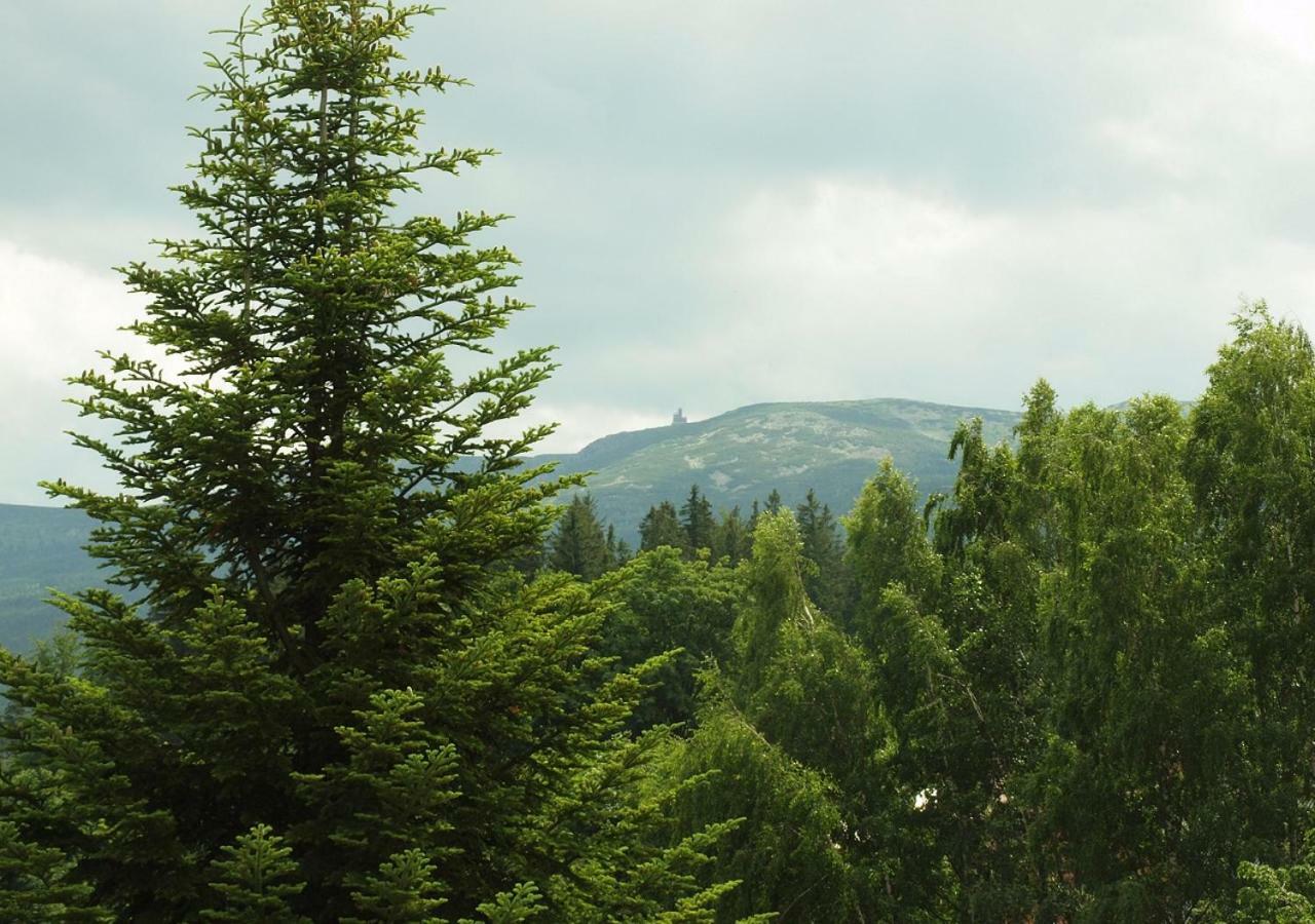 Apartmán Aura Sklářská Poruba Exteriér fotografie
